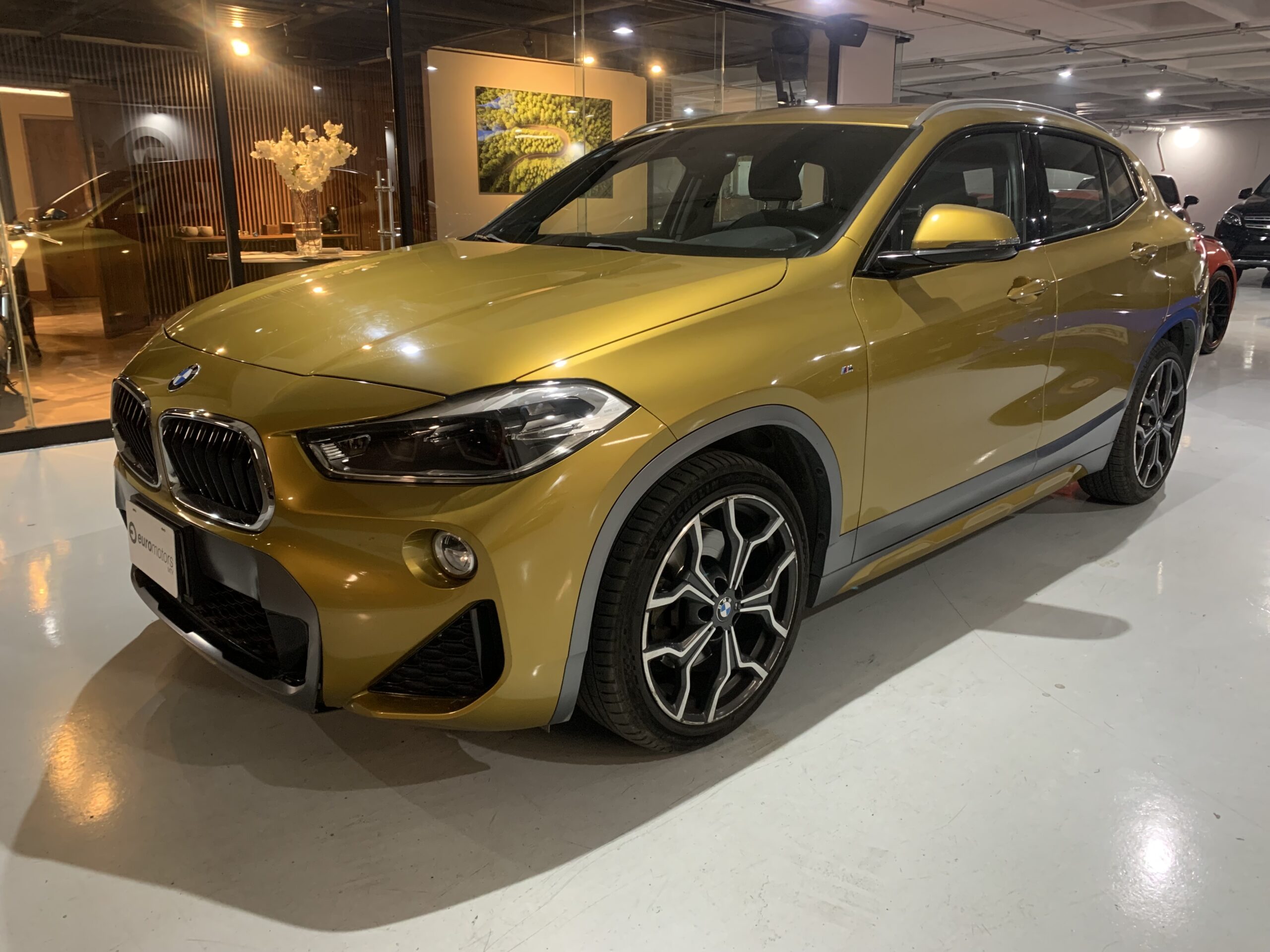 BMW X2 SDrive 20i 2019