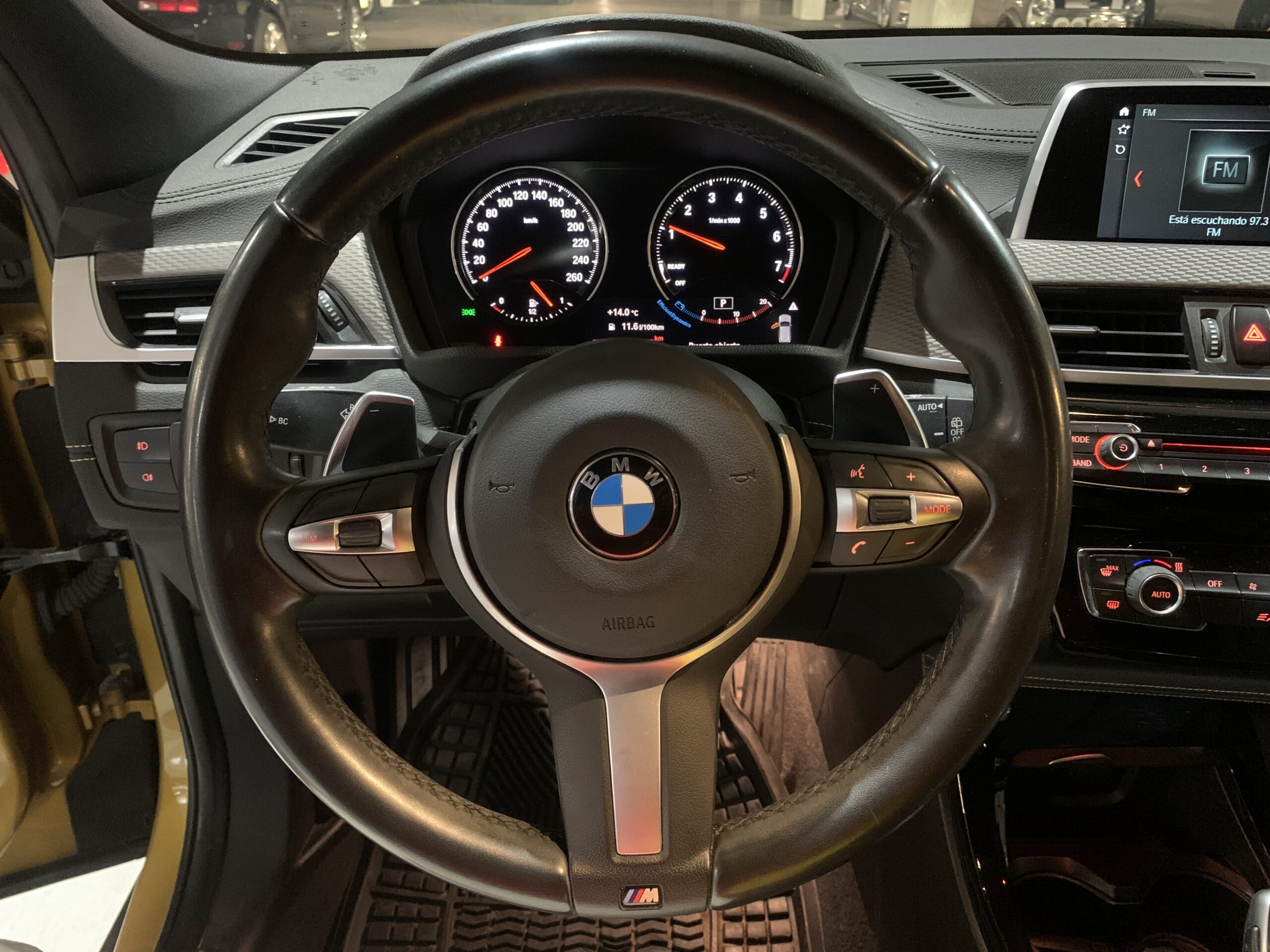 BMW X2 SDrive 20i 2019