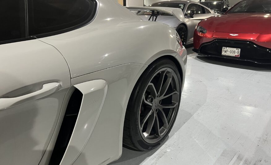 PORSCHE GT4 2021