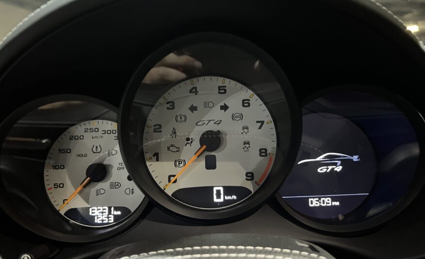 PORSCHE GT4 2021