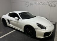 Porsche Cayman GTS 2015