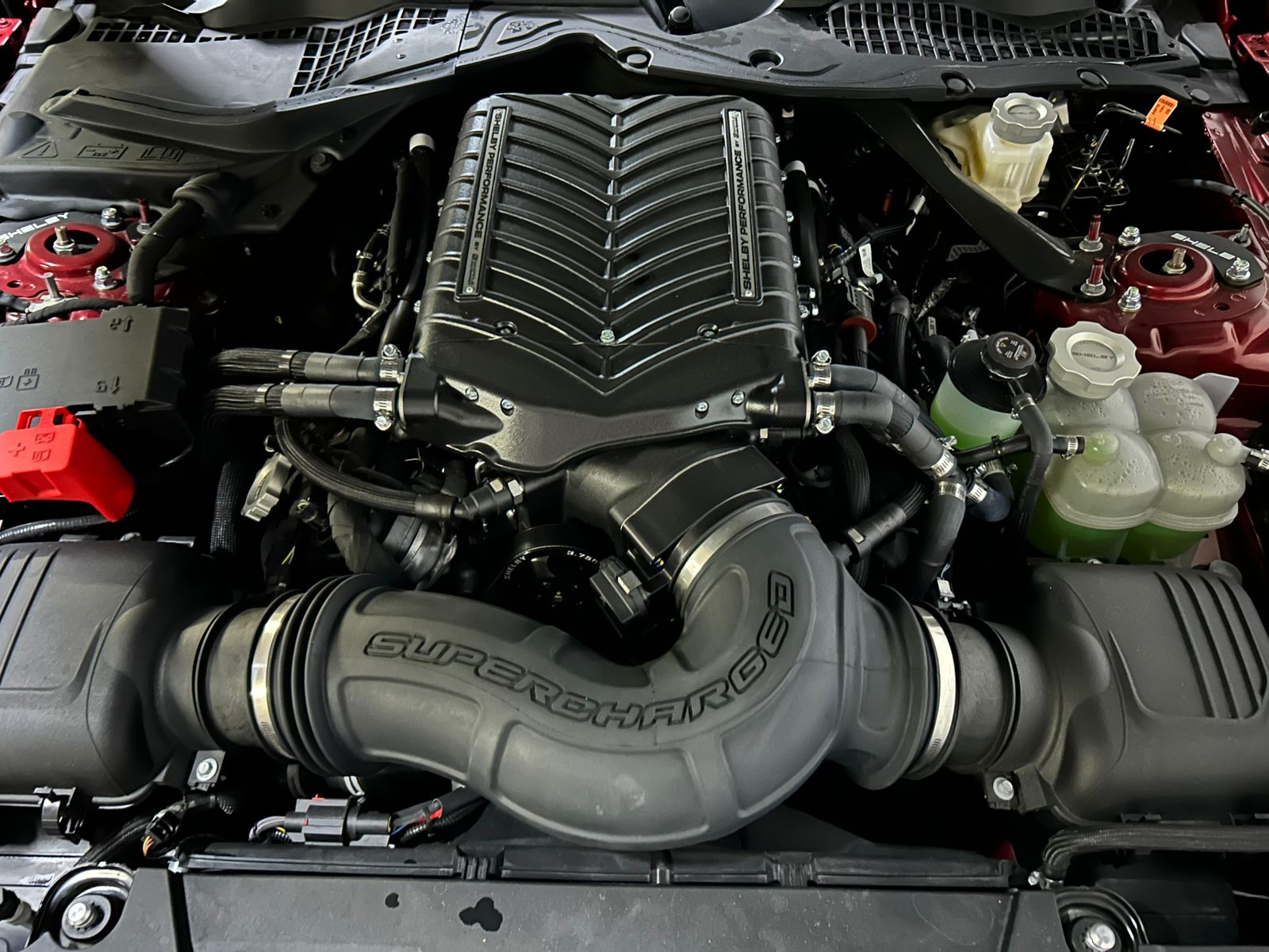 Ford Shelby Súper Snake 2024